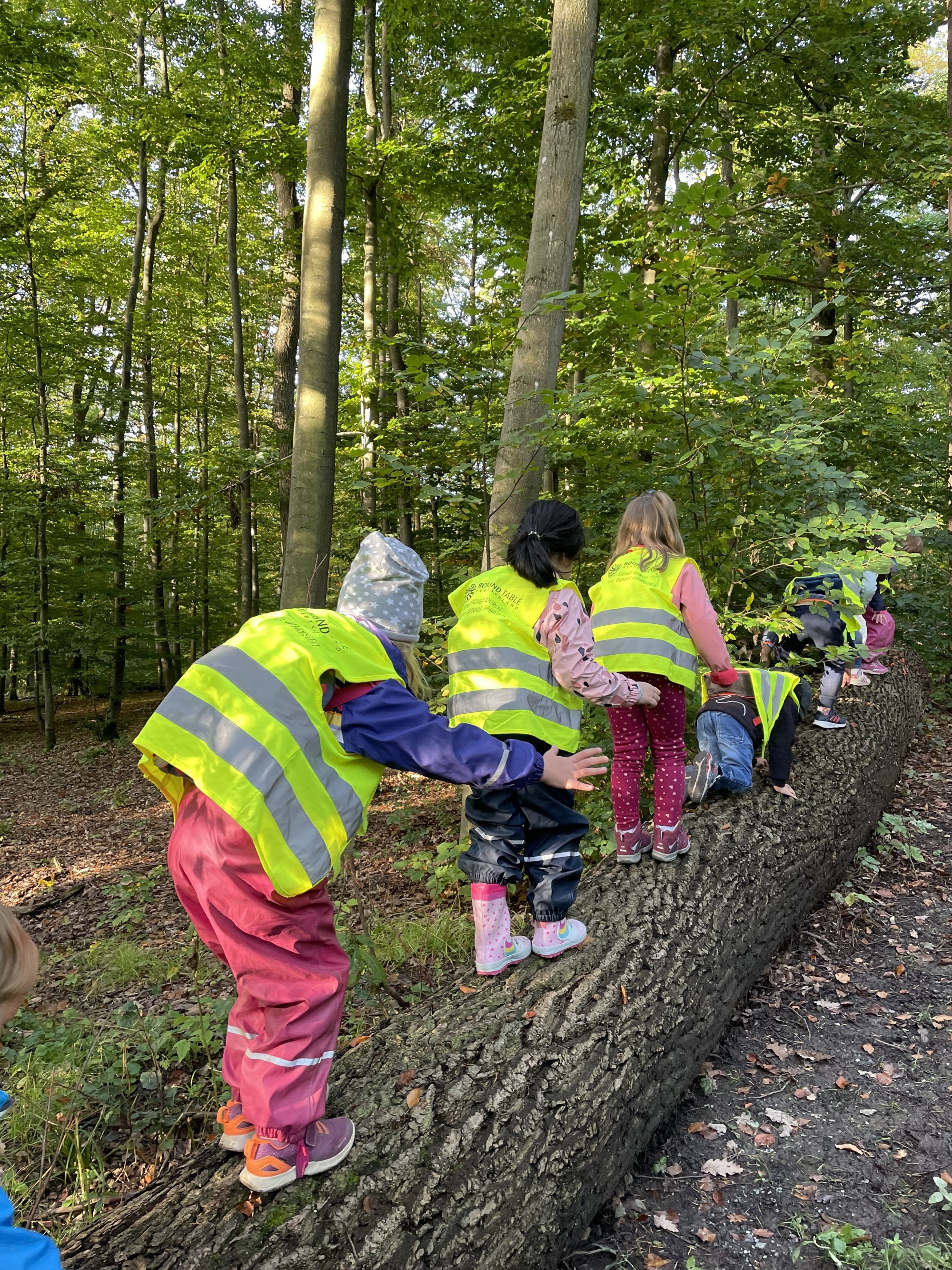 Erster Waldtag der Vorschulkinder