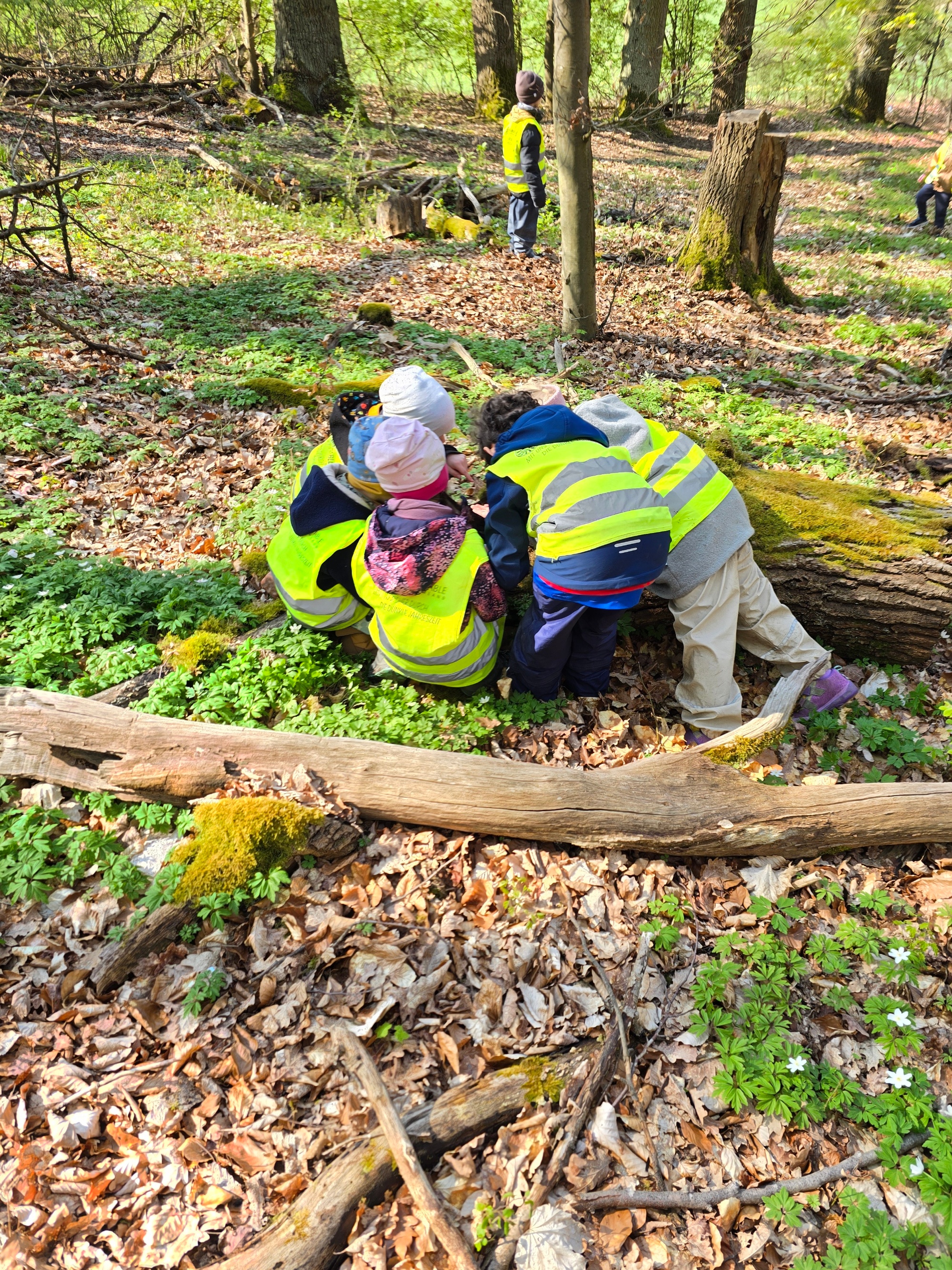 2026-004-17_Natur  und Umwelttag