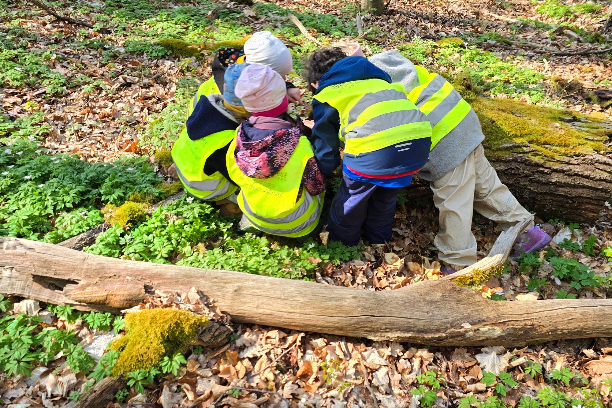 2026-004-17_Natur  und Umwelttag