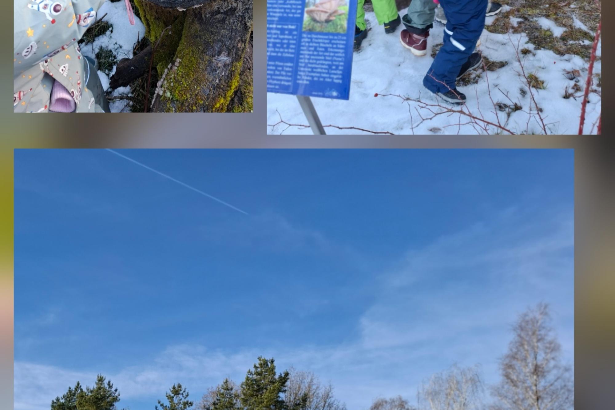 Natur - und Umwelttag mit den Vorschulkindern