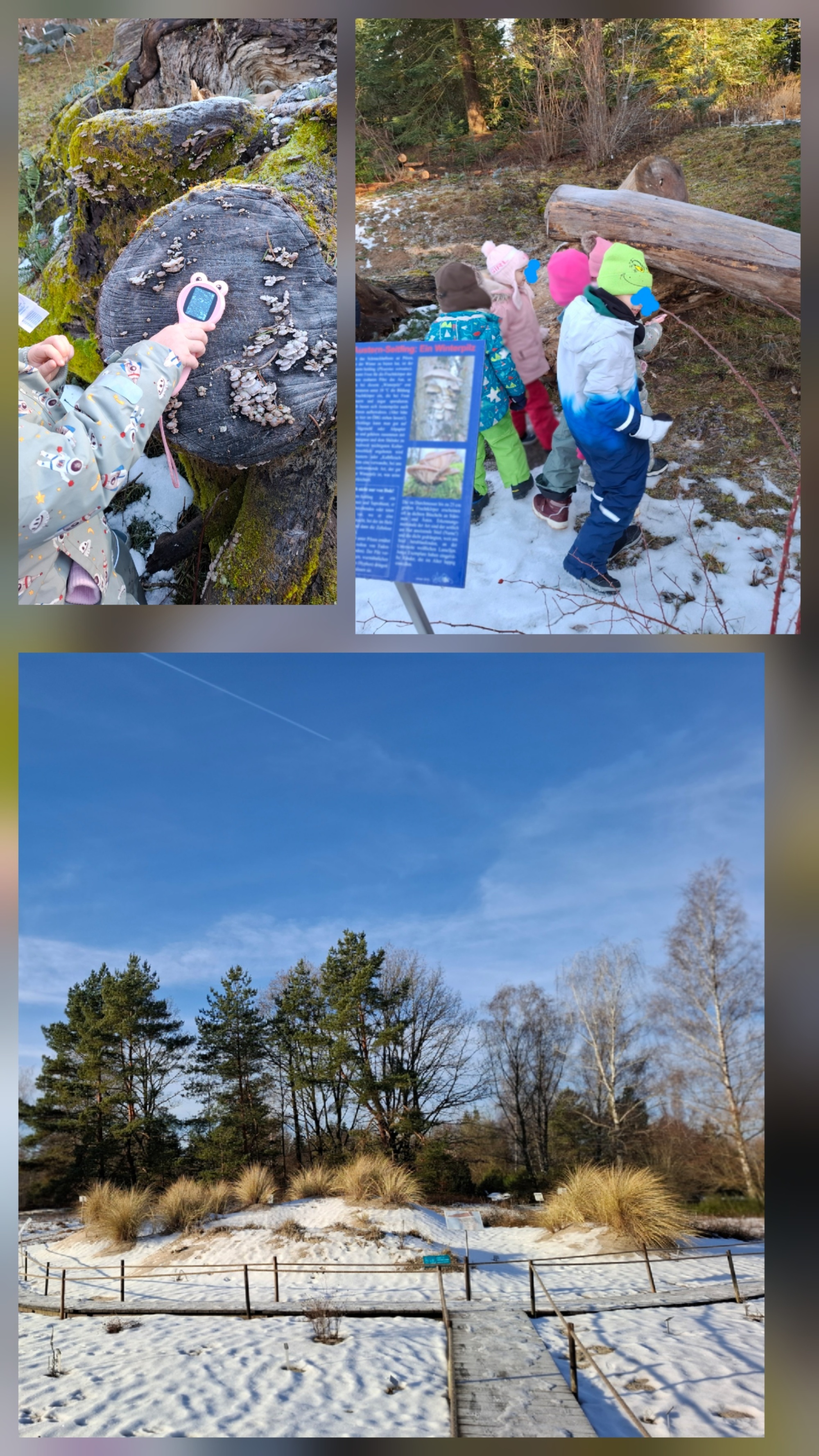 Natur - und Umwelttag mit den Vorschulkindern