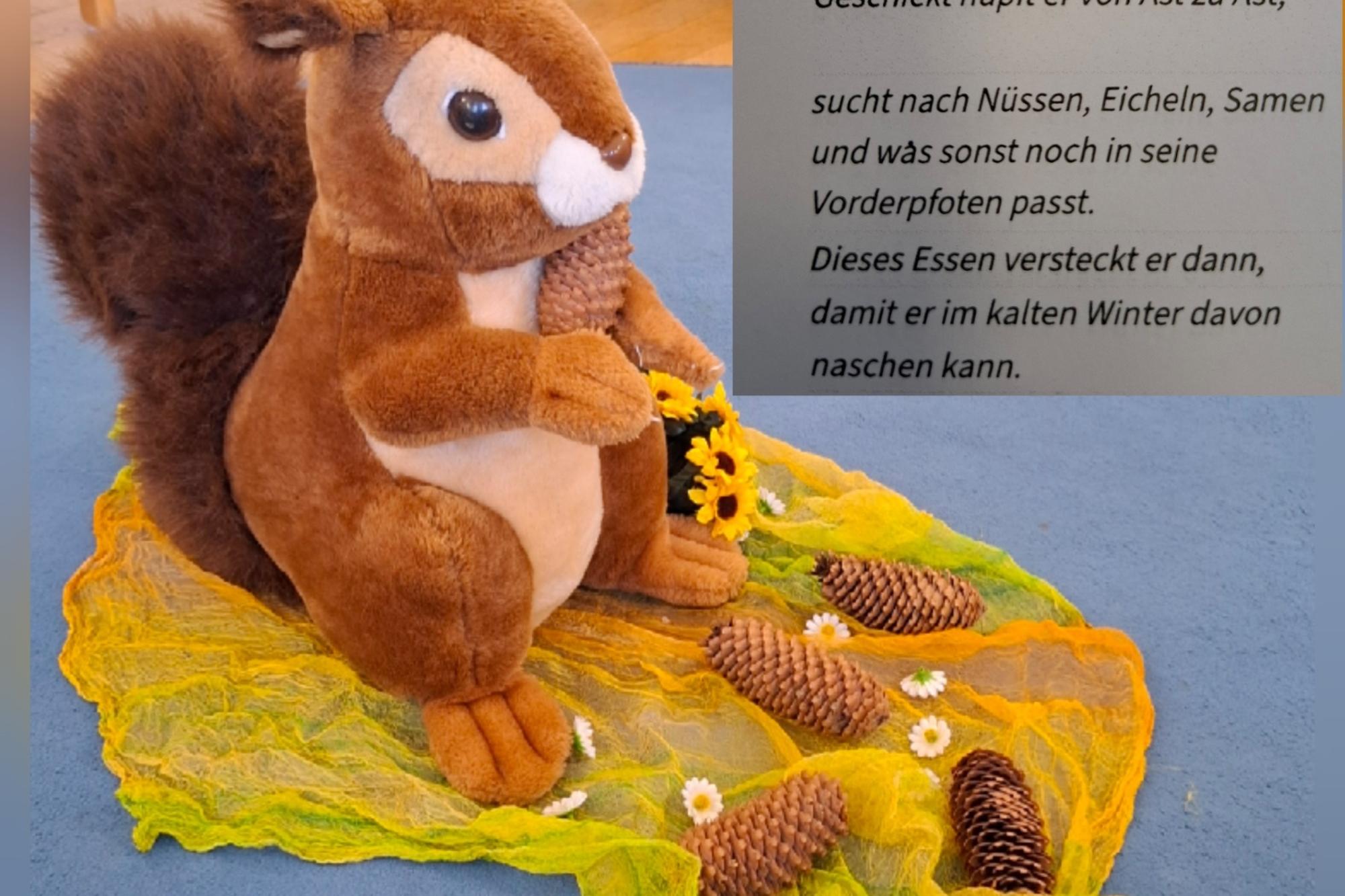 2026-09-16_Besuch vom Eichhörnchen Klaus