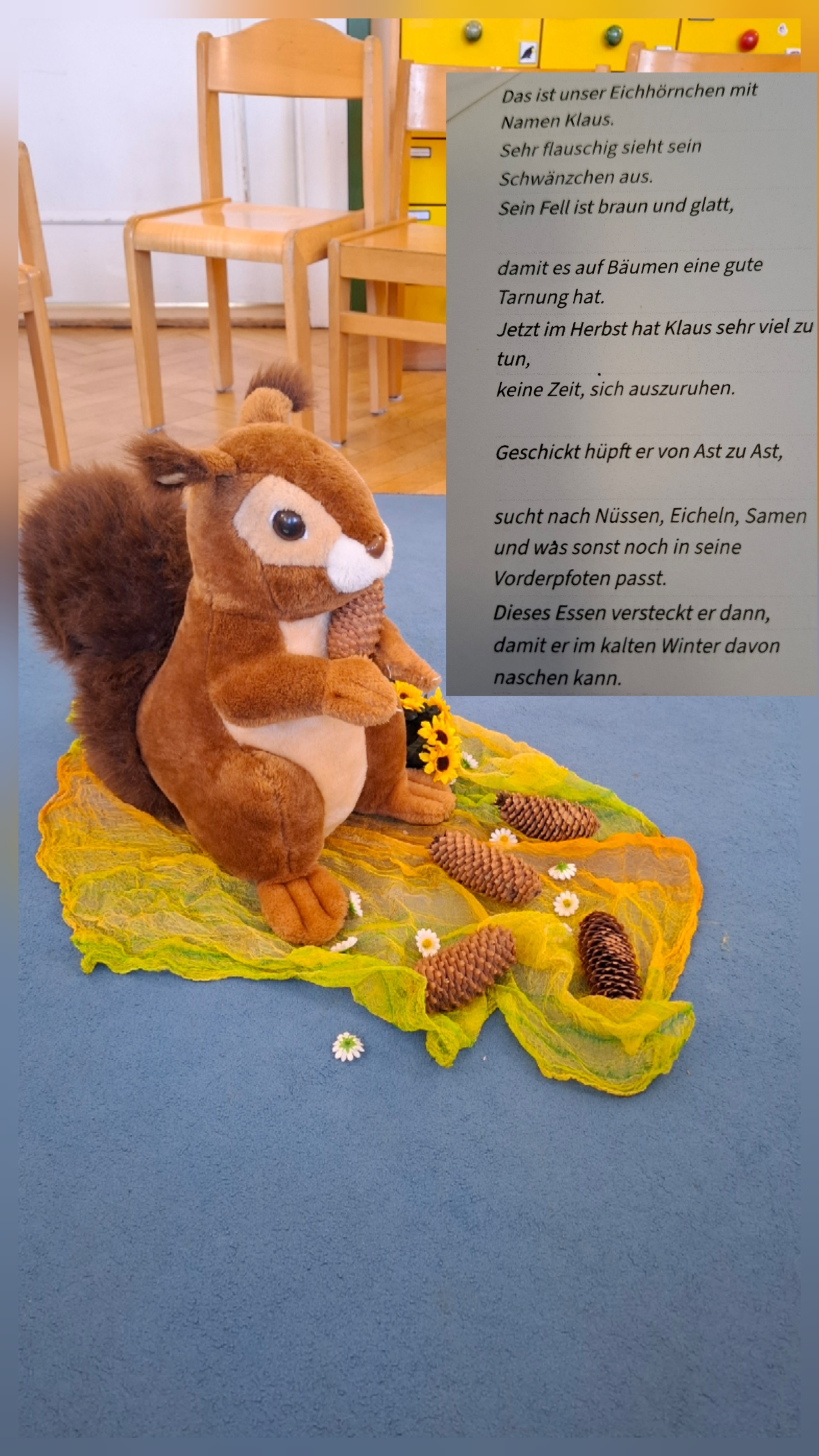 2026-09-16_Besuch vom Eichhörnchen Klaus