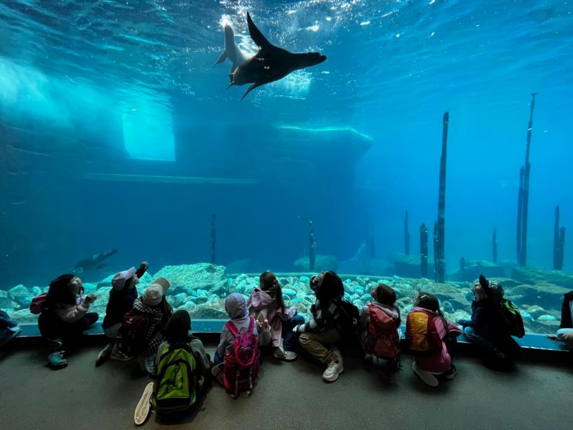 Schulkinder Freizeit Ferien Besuch in den Zoo