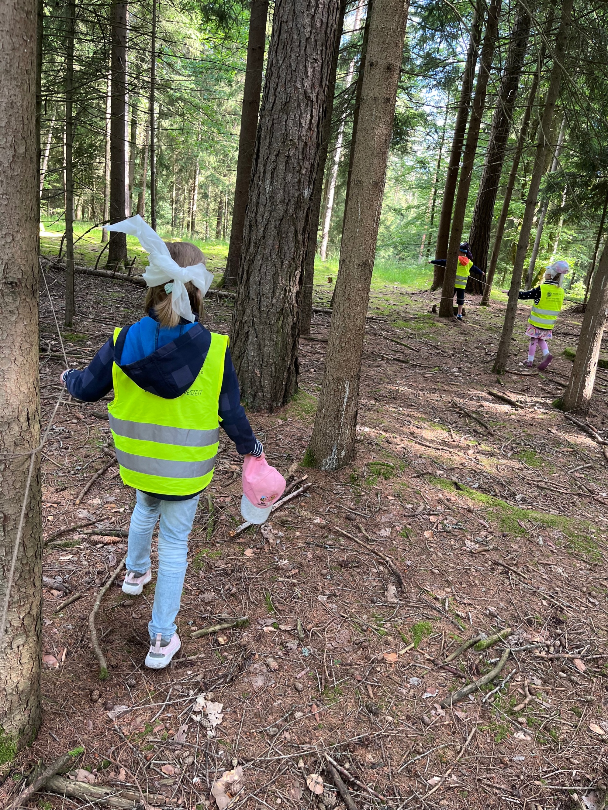 Waldtag der Vorschulkinder