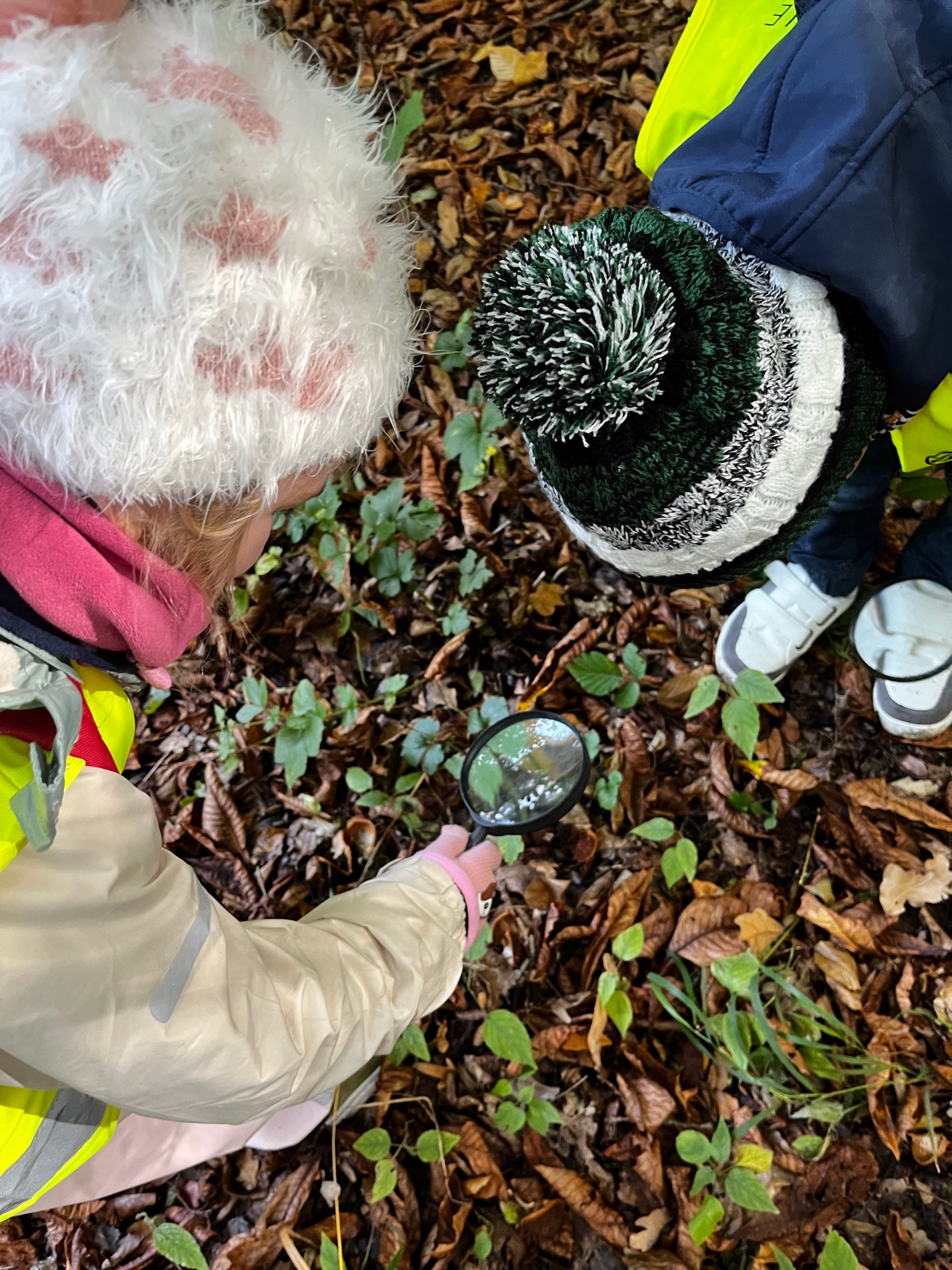 Waldtag Vorschulkinder Herbst